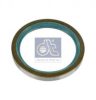 DT 4.20603 Shaft Seal, wheel bearing